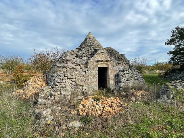 Landhaus in Contrada Nigri, Martina Franca - Foto 1