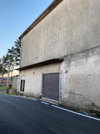 Tempo libero in Via Matteo Renato Imbriani, San Martino Valle Caudina, {3} - Foto 1