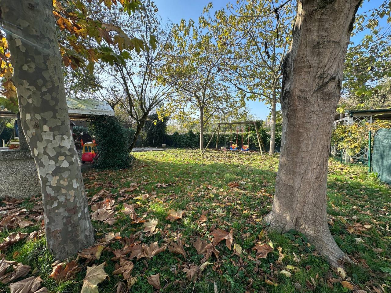 immagine annuncio 9 di 12