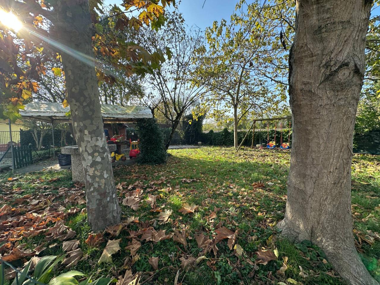 immagine annuncio 11 di 12