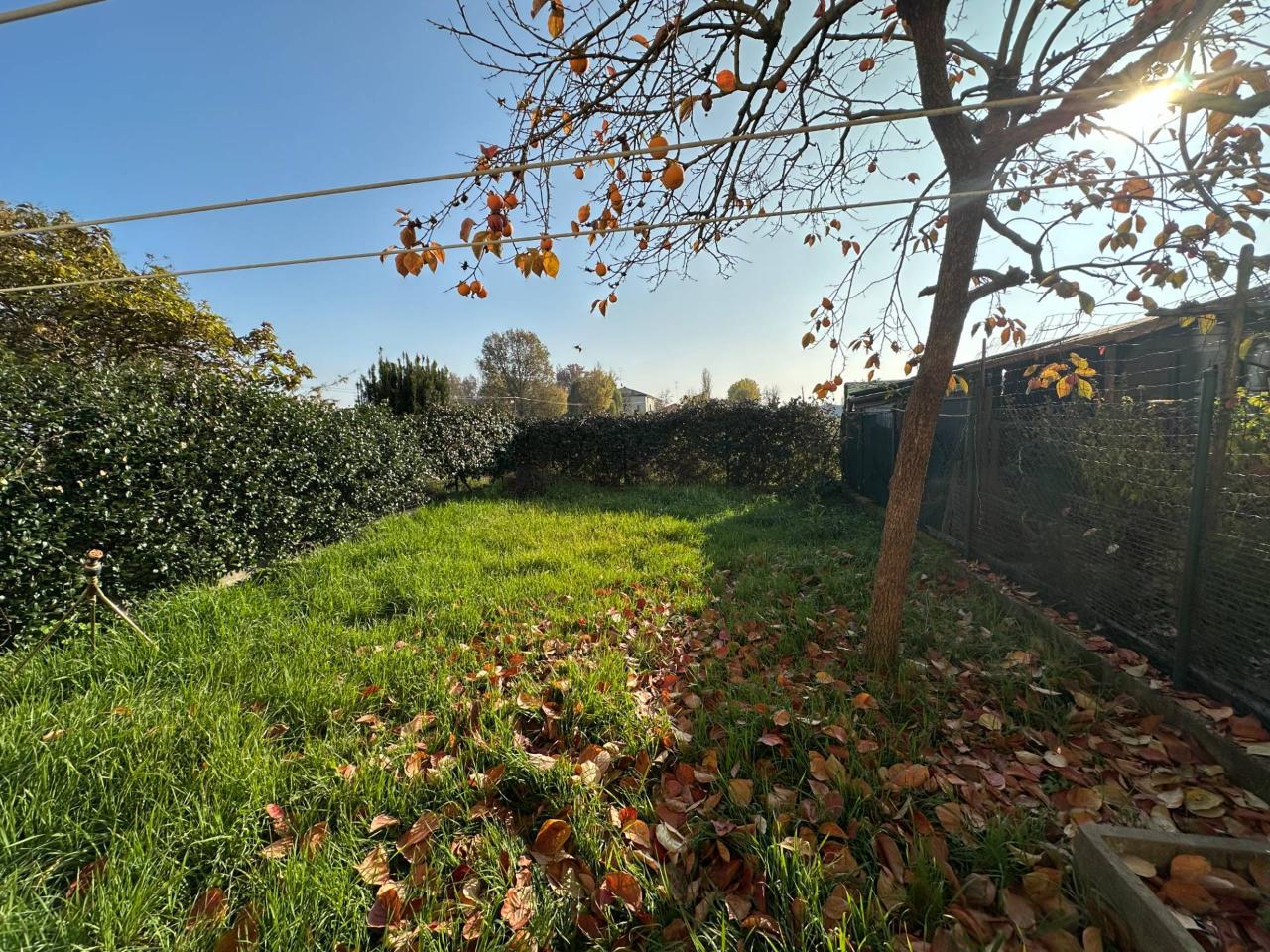 immagine annuncio 10 di 12