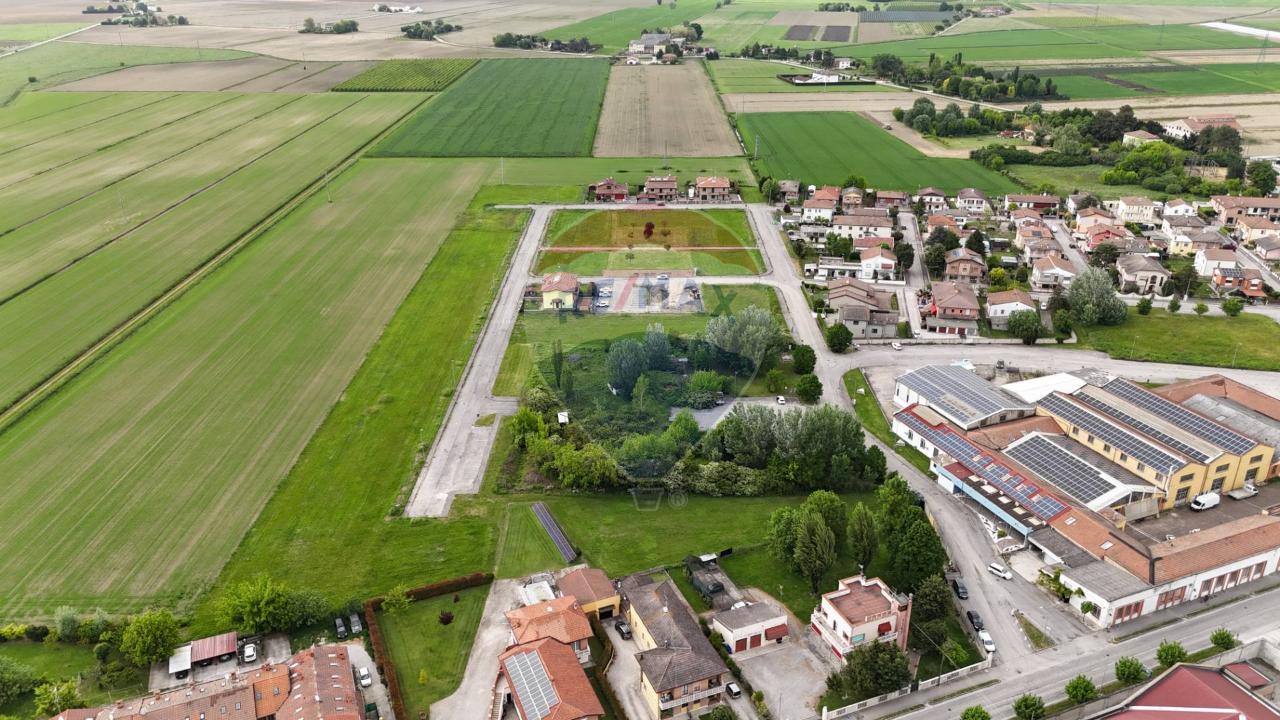 immagine annuncio 3 di 12