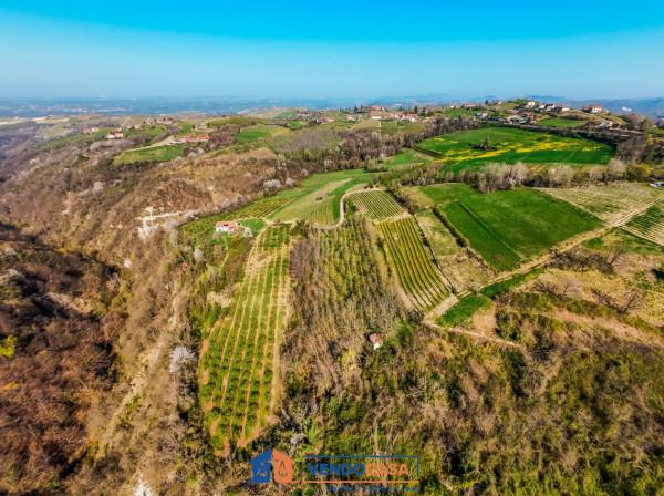 immagine annuncio 7 di 12