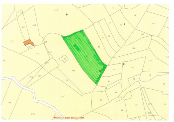 immagine annuncio 11 di 12