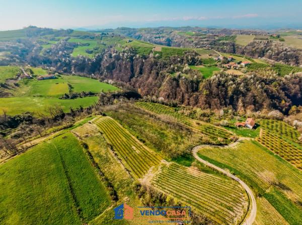 immagine annuncio 8 di 12