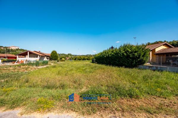 immagine annuncio 9 di 13