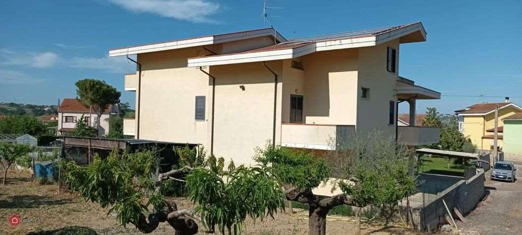 immagine annuncio 3 di 13