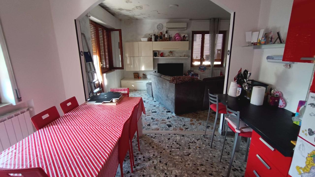 immagine annuncio 2 di 12