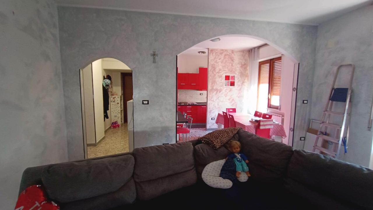 immagine annuncio 5 di 12