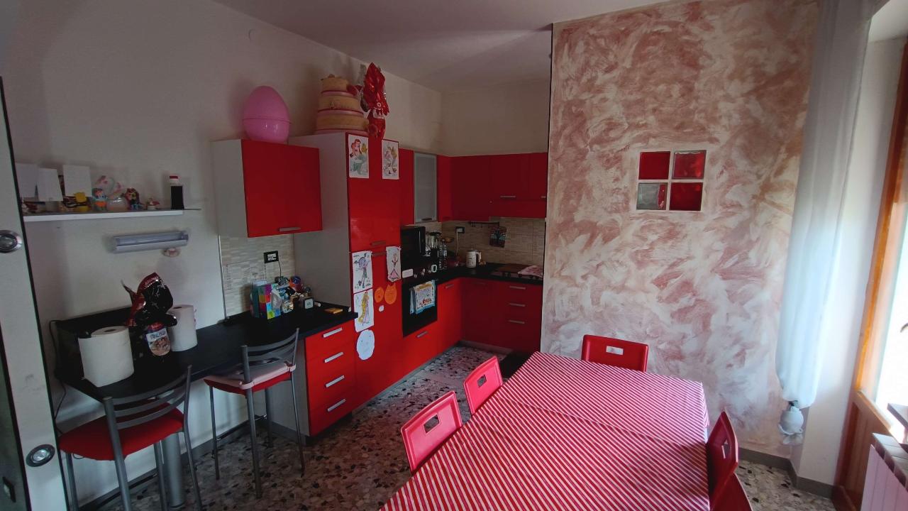 immagine annuncio 1 di 12