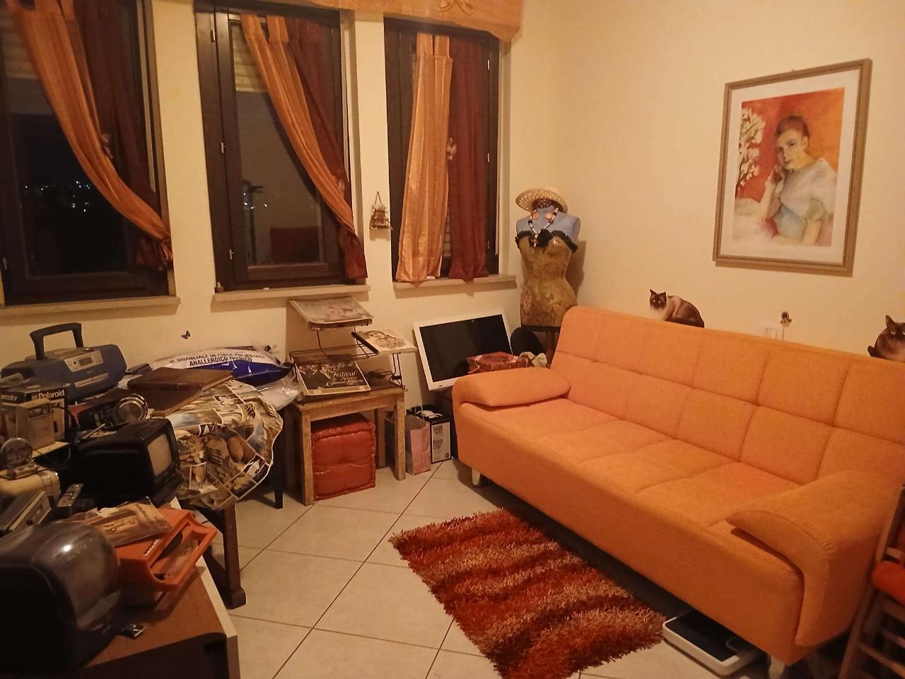 immagine annuncio 5 di 13