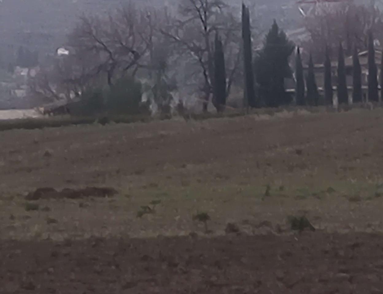 immagine annuncio 1 di 2