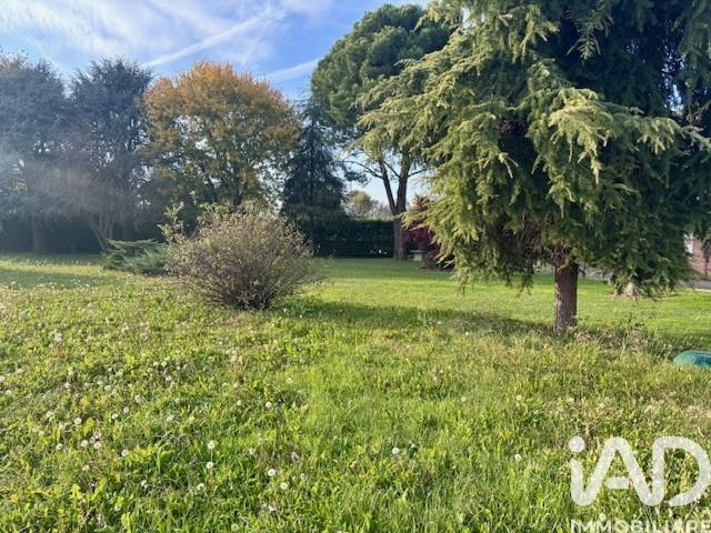 immagine annuncio 2 di 4