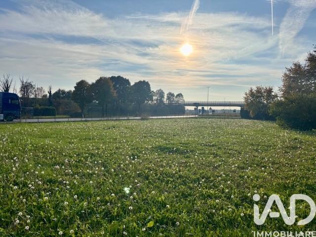 immagine annuncio 1 di 4