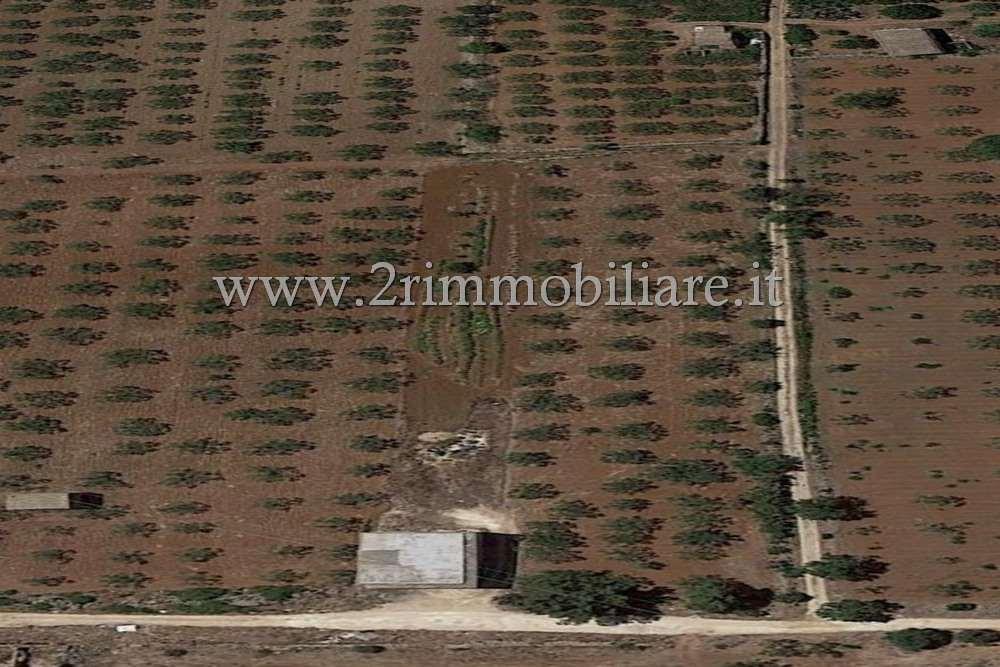 Terreno agricolo in vendita a Castelvetrano