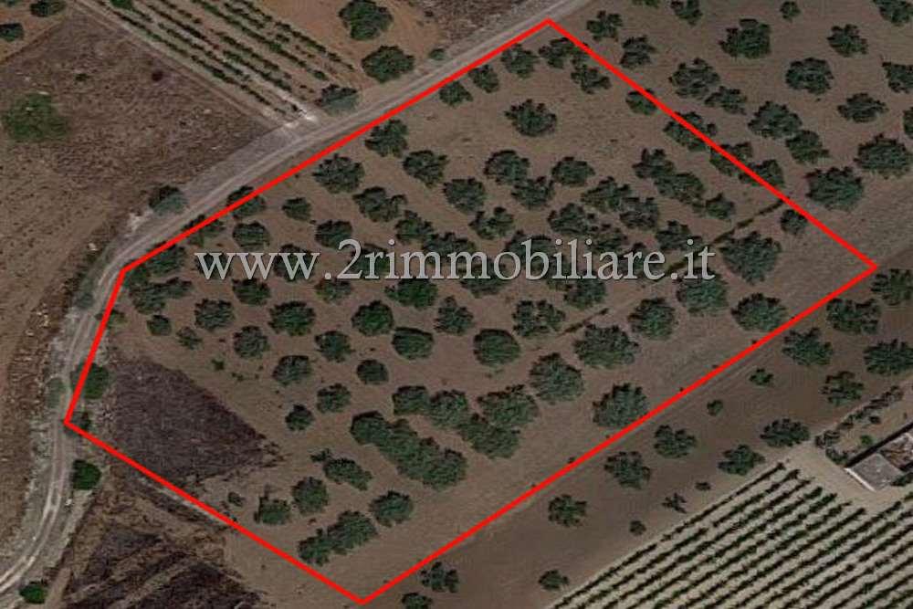 Terreno agricolo in vendita a Mazara Del Vallo