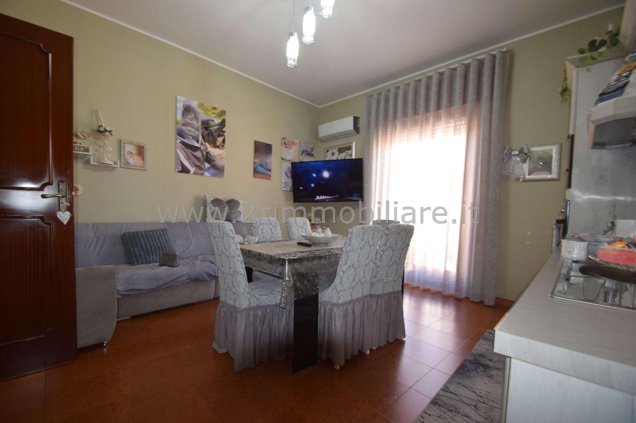 immagine annuncio 5 di 14