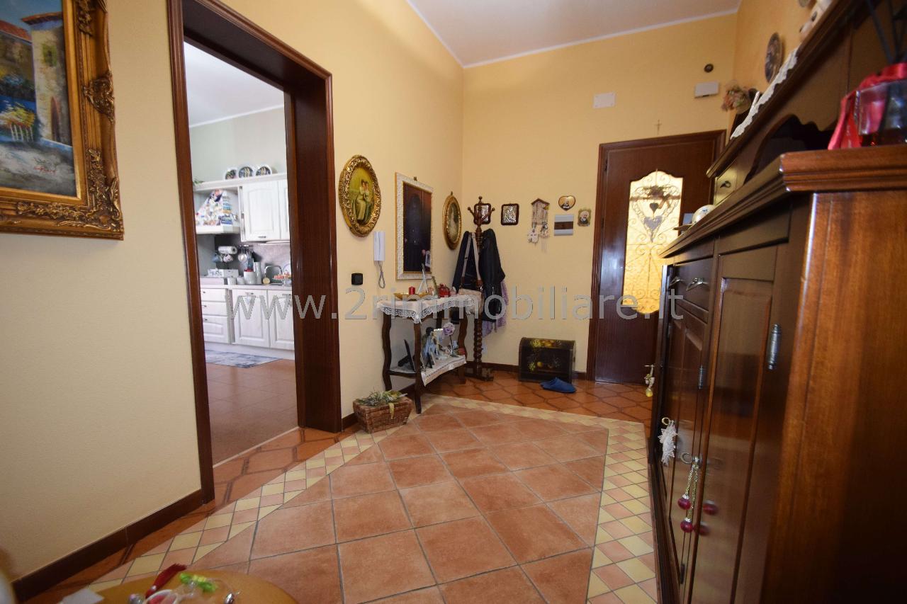 immagine annuncio 3 di 14