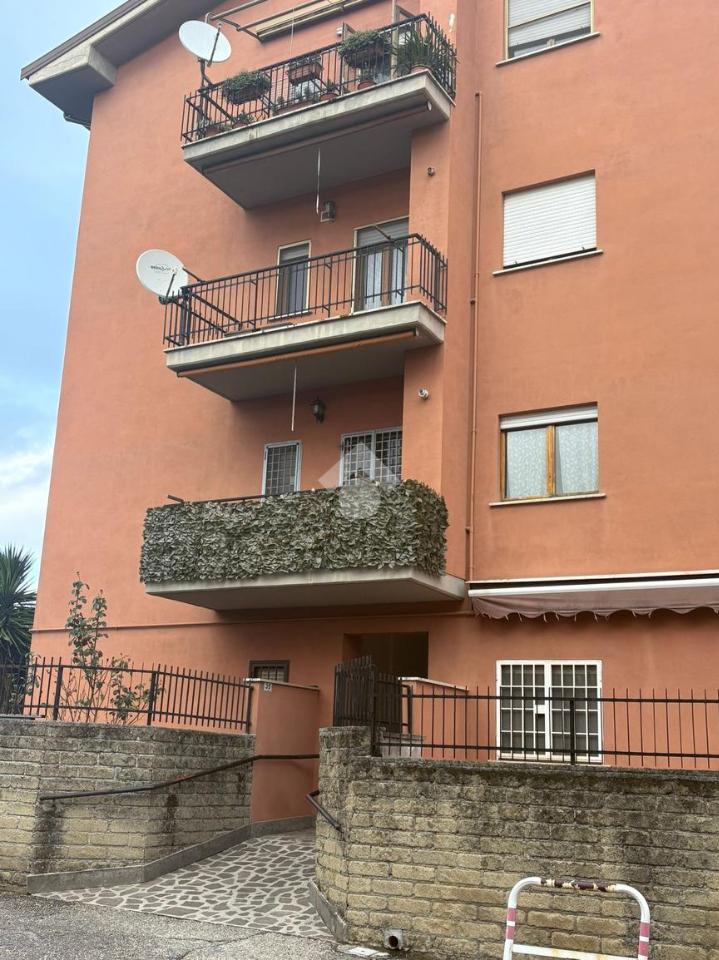 immagine annuncio 2 di 3