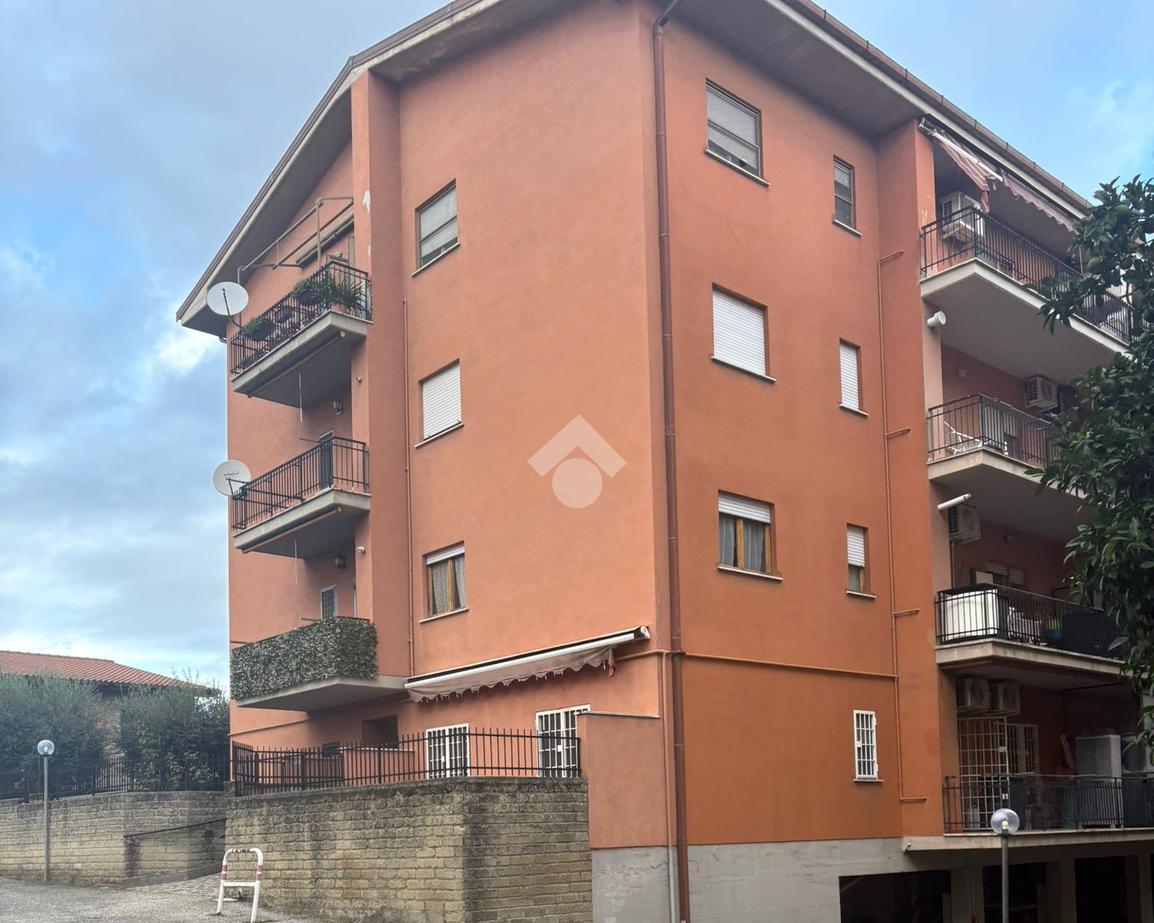 immagine annuncio 1 di 3