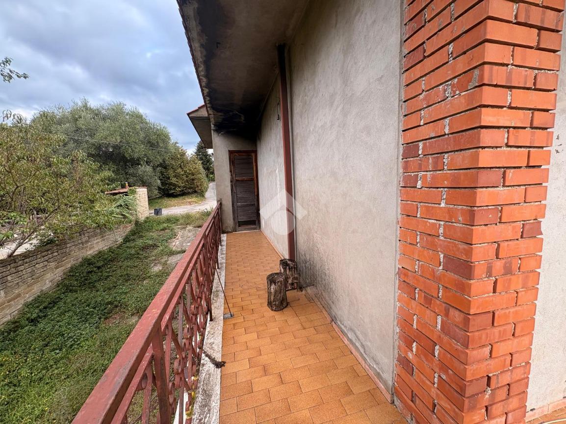 immagine annuncio 9 di 14