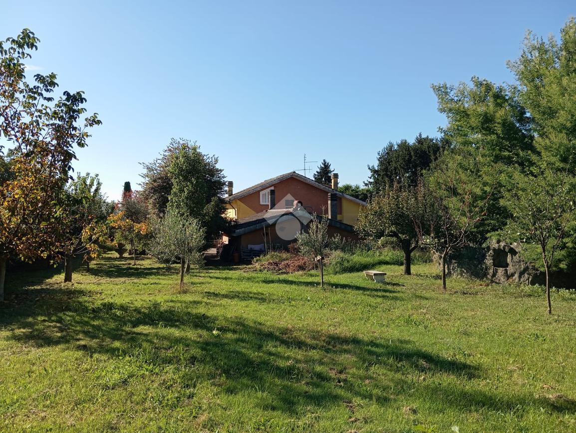 immagine annuncio 5 di 6