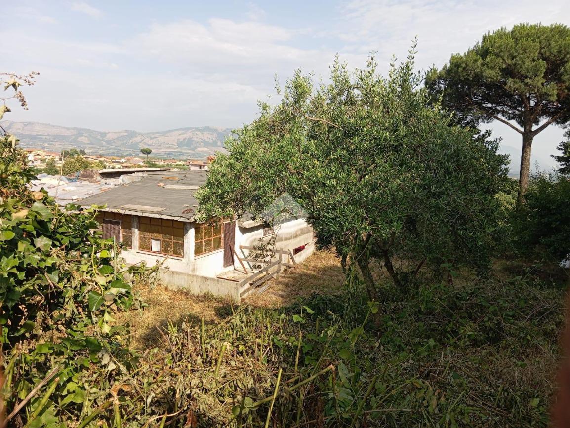 immagine annuncio 11 di 13