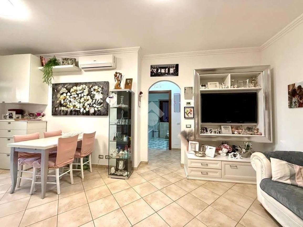 immagine annuncio 9 di 13