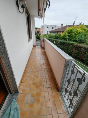 immagine annuncio 9 di 14