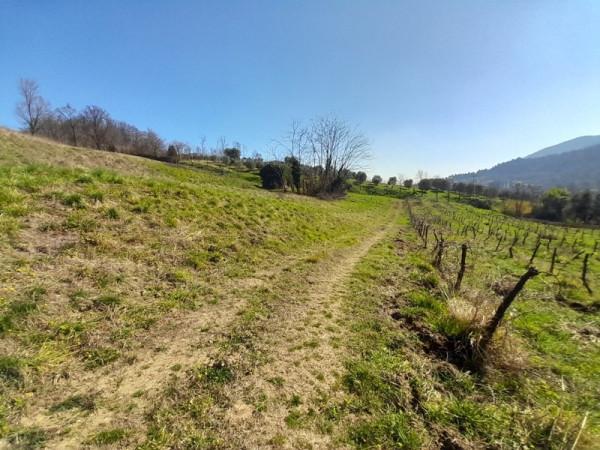 immagine annuncio 7 di 14