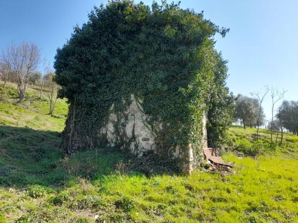 immagine annuncio 4 di 14