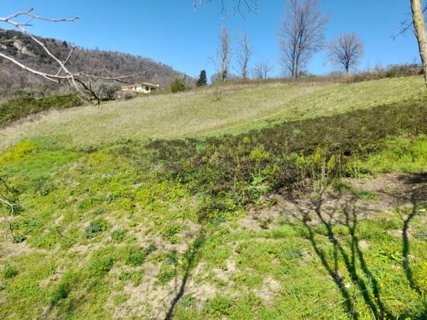 immagine annuncio 12 di 14