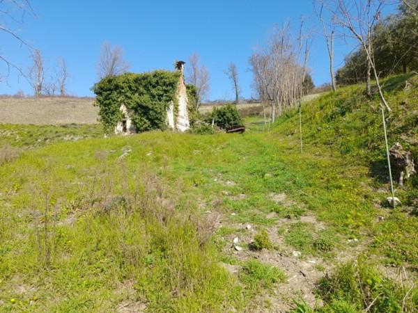 immagine annuncio 8 di 14