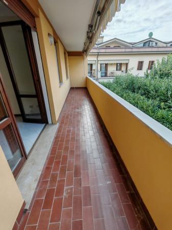 immagine annuncio 7 di 15