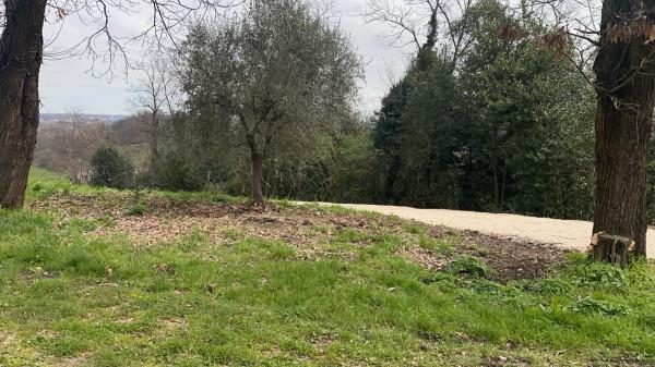 immagine annuncio 9 di 14