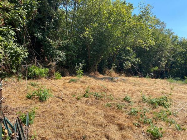 immagine annuncio 2 di 3