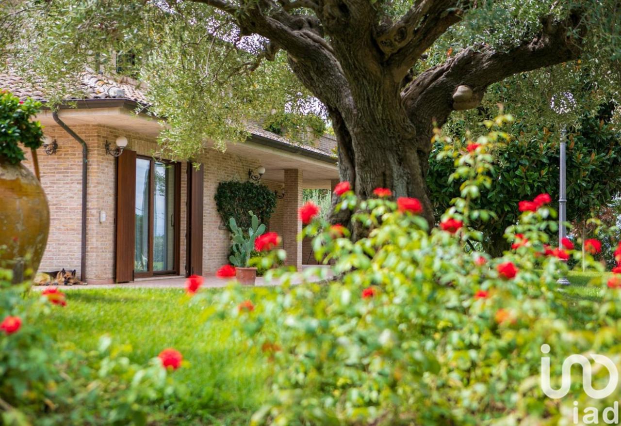 immagine annuncio 10 di 15