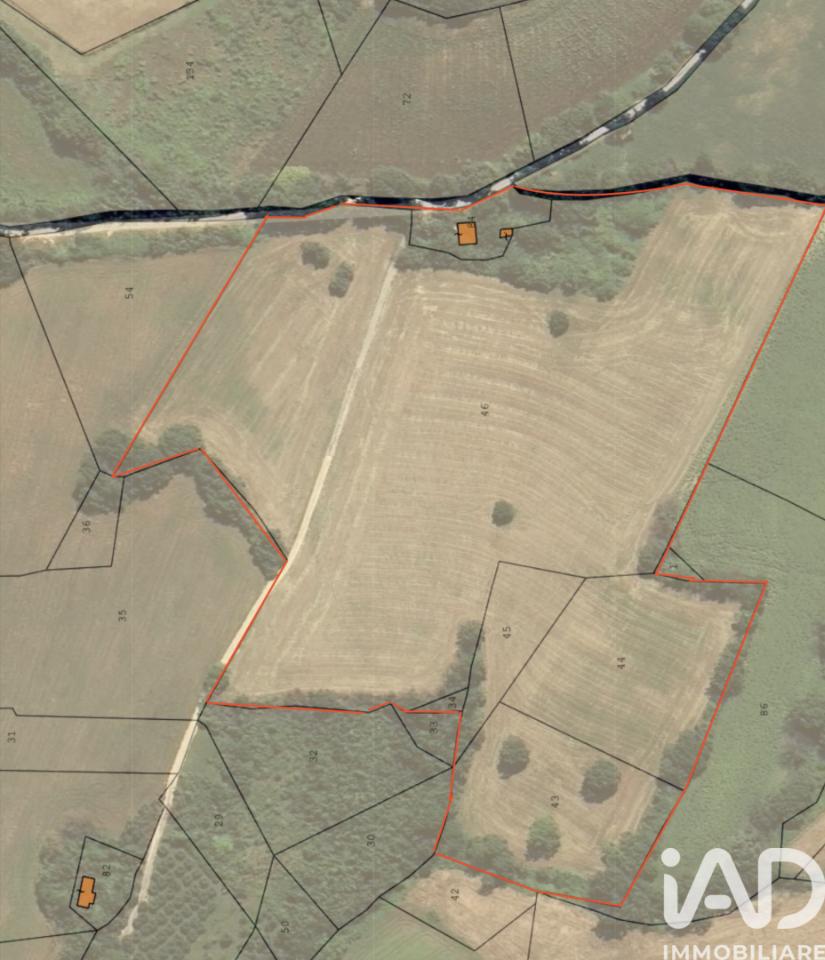 immagine annuncio 7 di 8