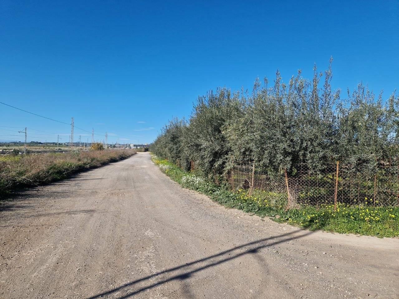 immagine annuncio 4 di 13