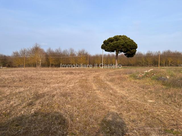 Terreno edificabile residenziale in Località Vitellino, Castiglione del Lago - Foto 1