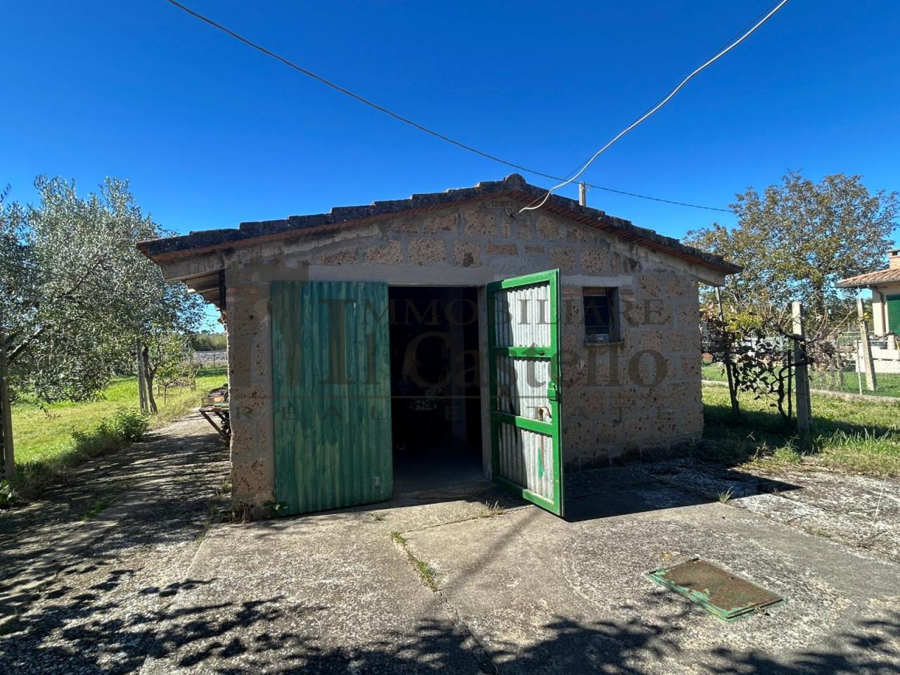 immagine annuncio 13 di 14