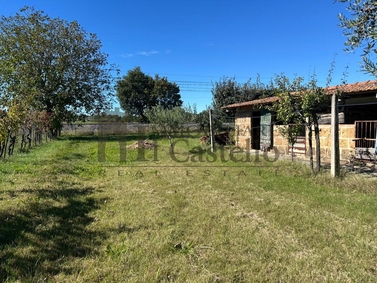 immagine annuncio 11 di 14