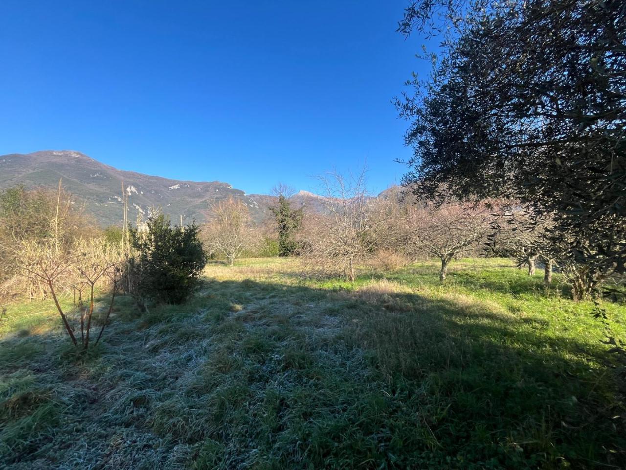 immagine annuncio 10 di 13