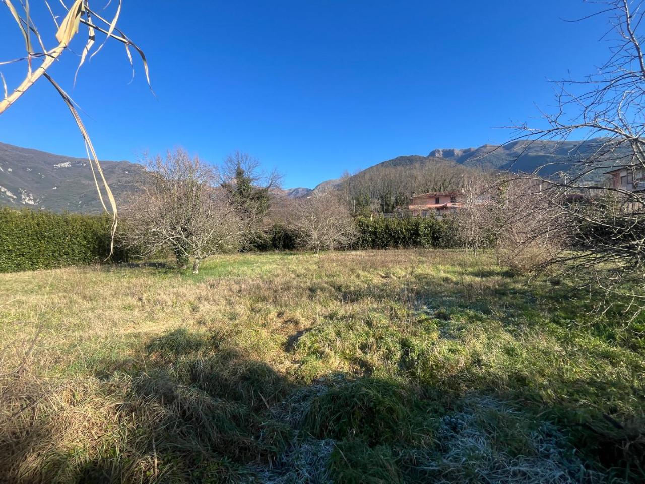 immagine annuncio 11 di 13