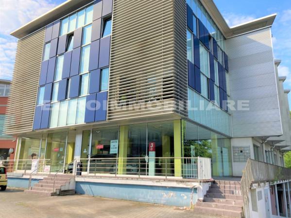 immagine annuncio 12 di 14