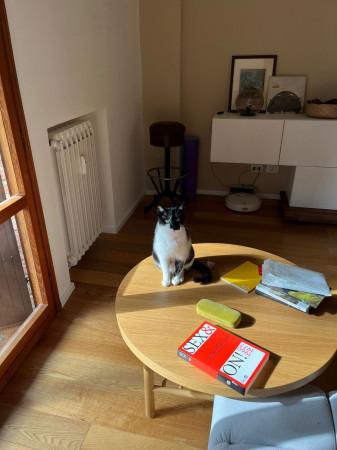 immagine annuncio 1 di 2