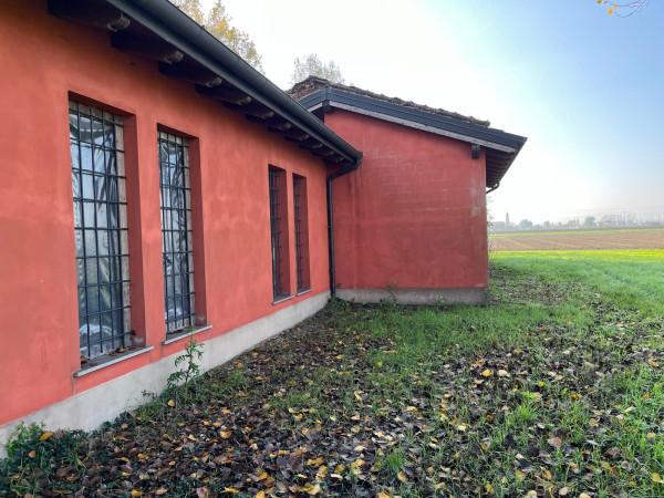 immagine annuncio 5 di 14