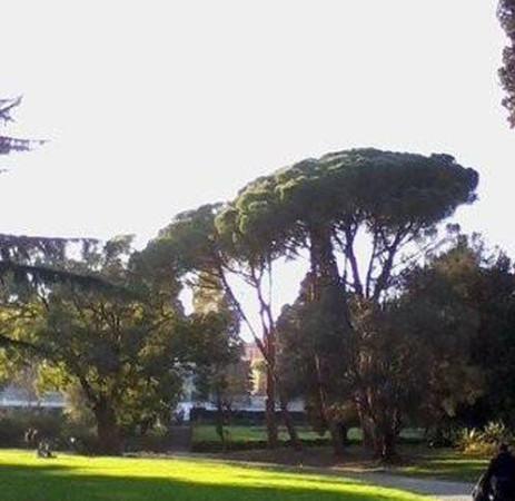 immagine annuncio 1 di 2