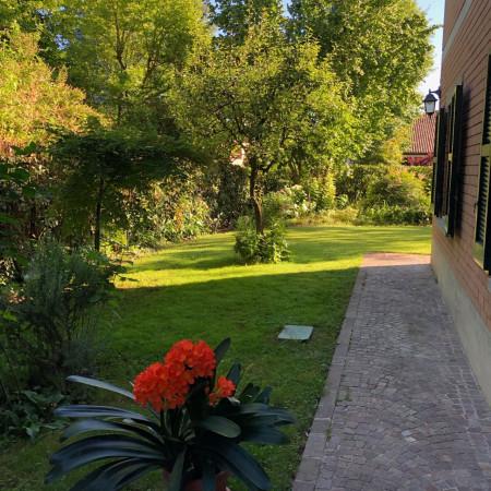 immagine annuncio 5 di 6