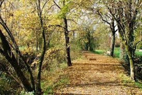 immagine annuncio 1 di 3